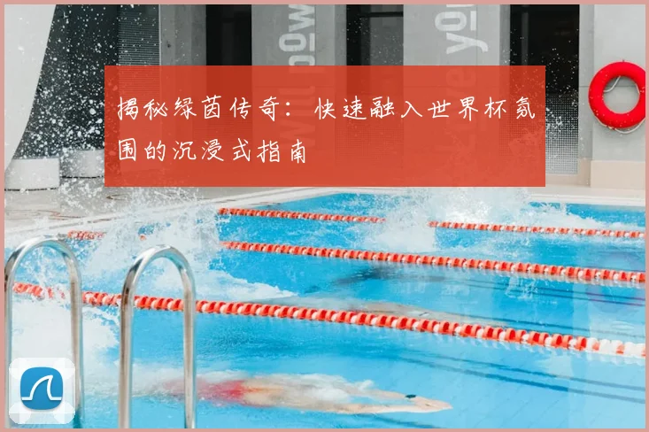 揭秘绿茵传奇:快速融入世界杯氛围的沉浸式指南