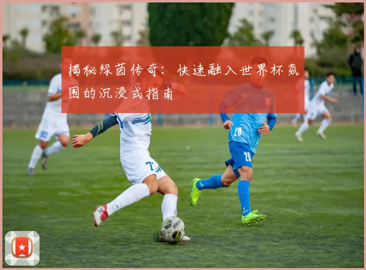 揭秘绿茵传奇：快速融入世界杯氛围的沉浸式指南