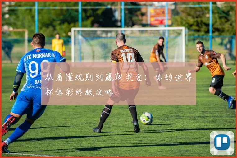 从看懂规则到赢取奖金：你的世界杯体彩终极攻略