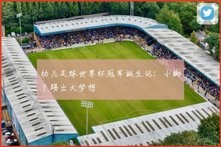 幼儿足球世界杯冠军诞生记:小脚丫踢出大梦想