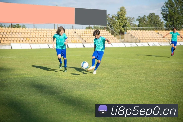 星空体育官网平台生态图