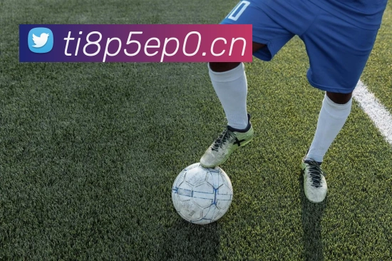 星空体育官网APP 封面图